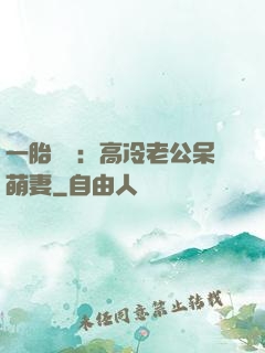 一胎兩寶：高冷老公呆萌妻