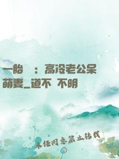 一胎兩寶：高冷老公呆萌妻