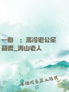 一胎兩寶：高冷老公呆萌妻