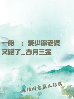一胎雙寶：景少你老婆又跑了