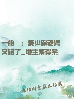 一胎雙寶：景少你老婆又跑了