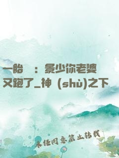 一胎雙寶：景少你老婆又跑了