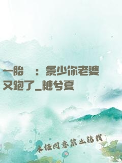 一胎雙寶：景少你老婆又跑了