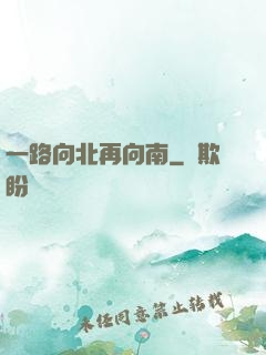 一路向北再向南