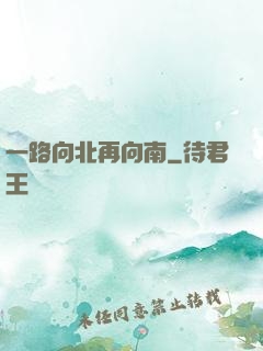 一路向北再向南