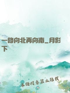 一路向北再向南