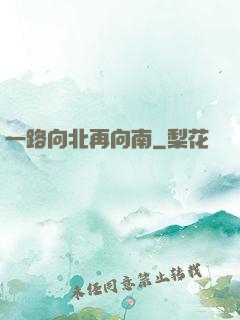 一路向北再向南