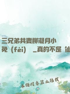 三兄弟共妻柳凝月小說免費(fèi)閱讀