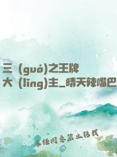 三國(guó)之王牌大領(lǐng)主