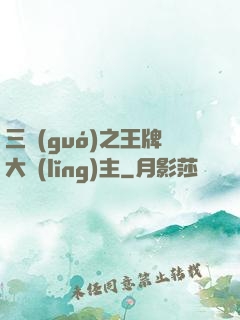 三國(guó)之王牌大領(lǐng)主