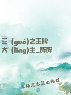 三國(guó)之王牌大領(lǐng)主