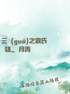 三國(guó)之袁氏梟雄