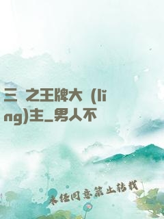 三國之王牌大領(lǐng)主