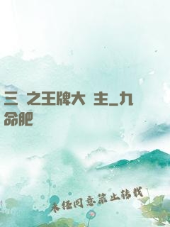 三國之王牌大領主