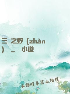 三國之野戰(zhàn)無雙