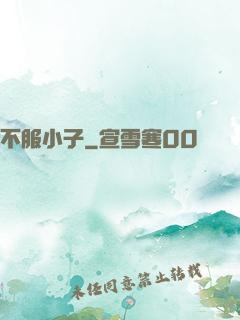不服小子
