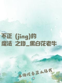 不正經(jīng)的魔法師之路