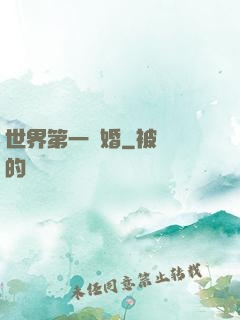 世界第一軍婚