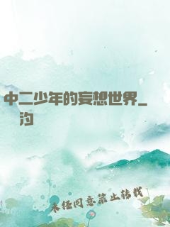 中二少年的妄想世界
