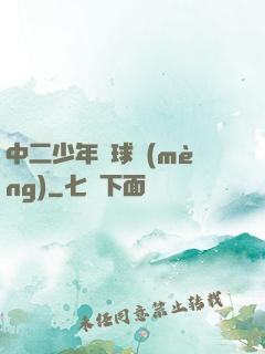 中二少年籃球夢(mèng)