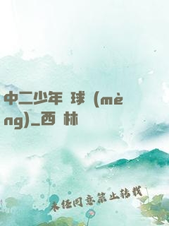 中二少年籃球夢(mèng)