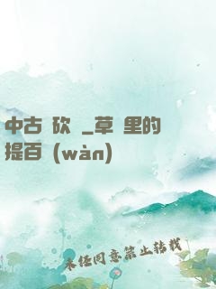 中古騎砍錄