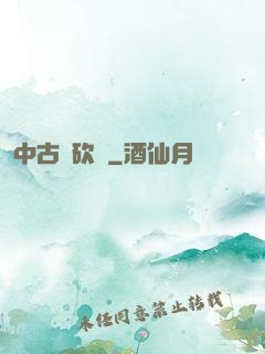 中古騎砍錄