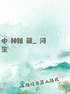 中國神秘寶藏