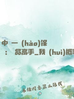 中華一號(hào)保鏢：極品高手