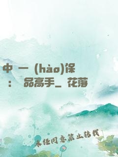 中華一號(hào)保鏢：極品高手
