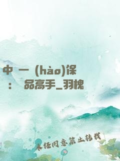 中華一號(hào)保鏢：極品高手