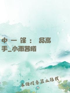 中華一號保鏢：極品高手