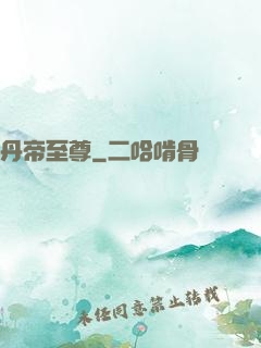 丹帝至尊