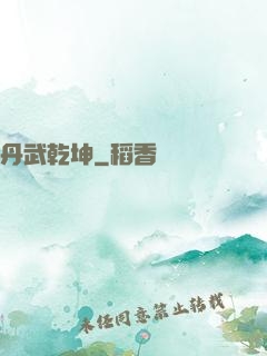 丹武乾坤
