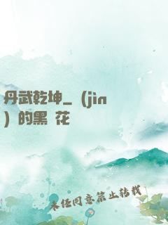 丹武乾坤