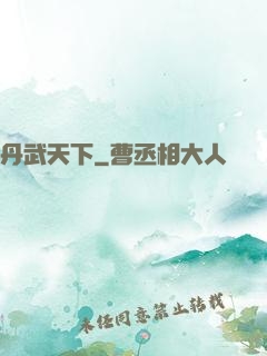 丹武天下
