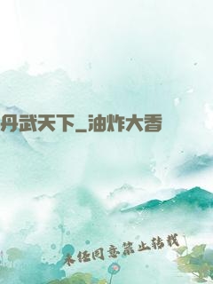 丹武天下