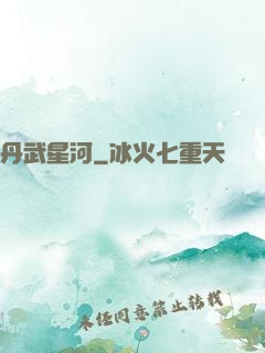 丹武星河