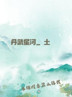 丹武星河