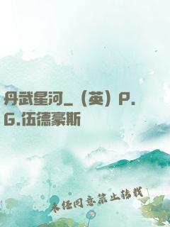 丹武星河