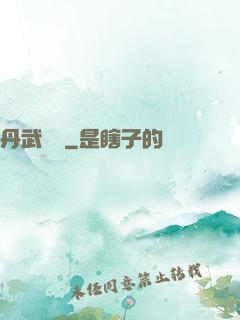 丹武無敵