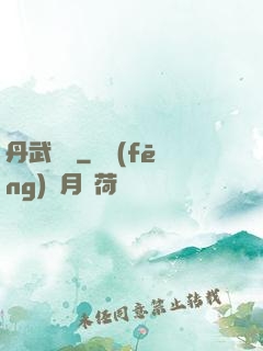 丹武無敵
