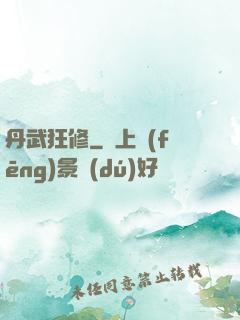 丹武狂修
