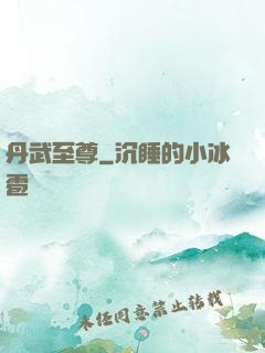 丹武至尊