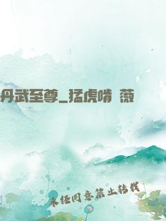 丹武至尊