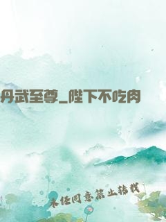 丹武至尊