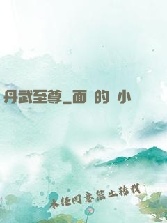 丹武至尊