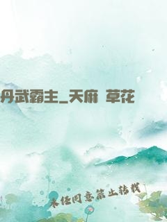 丹武霸主