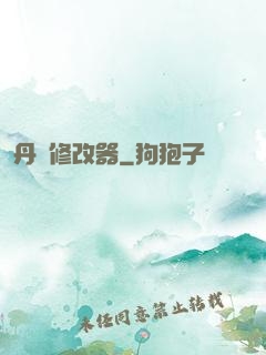 丹藥修改器