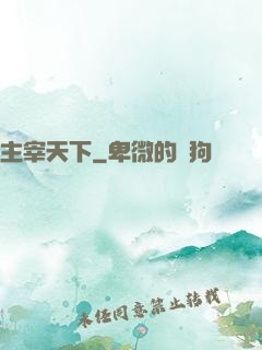 主宰天下